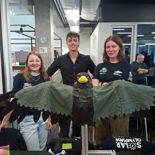 Team Birdbrainz met de Bitchy Bird